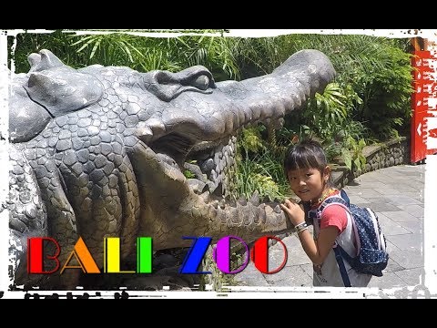 BALI ZOO おぐこと動物園デート