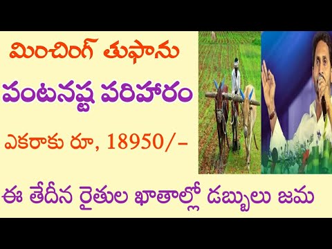 పంట నష్ట పరిహారం డబ్బులు విడుదల ఎకరాకు రూ, 18950/-//ap input subsidy 2024