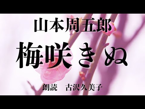 【朗読】山本周五郎「梅咲きぬ」