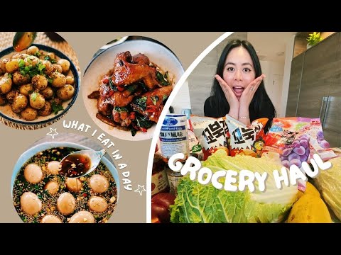 TiffyVlogs #2 | HUGE Grocery Haul, What I Eat In a Day, and Recipe Testing