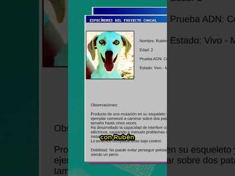 el juego donde un perro diabolico nos quiere matar....🐶 || canine