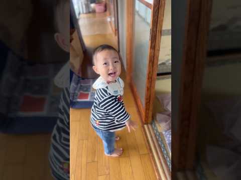 1歳児👶vs ネコ🐈の鳴き声対決！？ #shorts