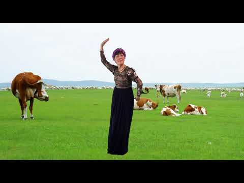 中国民族舞蹈（Chinese Folk Dance）蒙古舞【我多想】