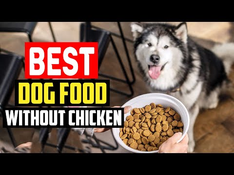 ✅Top 5 Best Dog Food Without Chicken in 2023