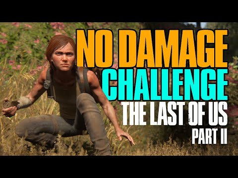 Can You Beat The Last of Us Part 2 Without Damage?