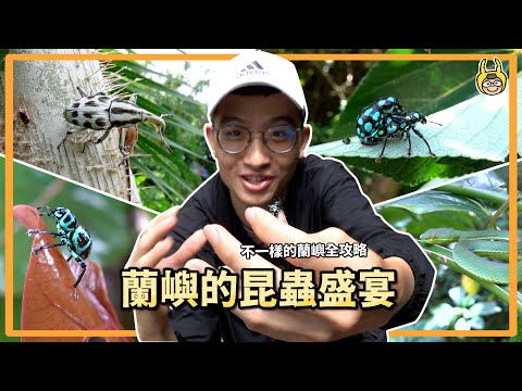 A different way to explore the beauty of Lanyu (EP. 1)