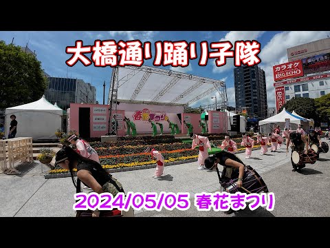 大橋通り踊り子隊　2024/05/05　こうち春花まつり(4K)