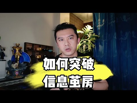 如何突破信息茧房