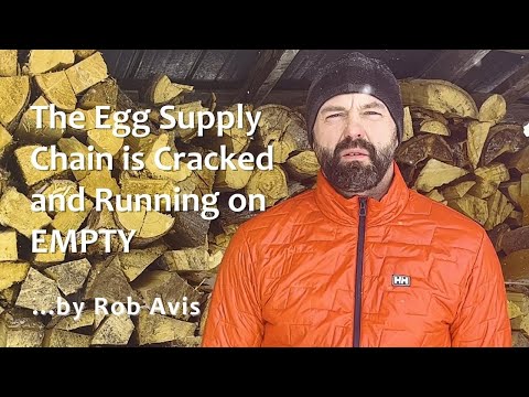 Supply Chains Running Out of Eggs by Rob Avis