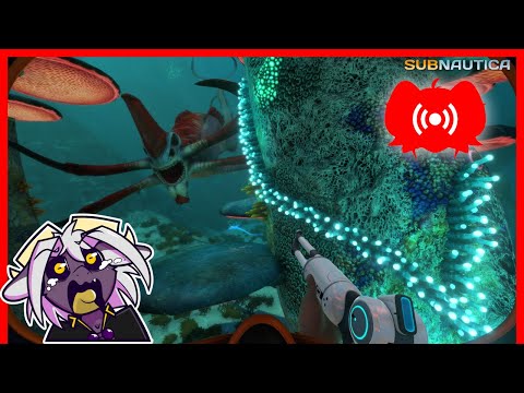 Subnautica (replay) Part 2!