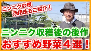 家庭菜園や農園のニンニク栽培は根も活用！？ニンニク収穫後の後作おすすめ野菜４選！【農家直伝】Recommended varieties for garlic cultivation.