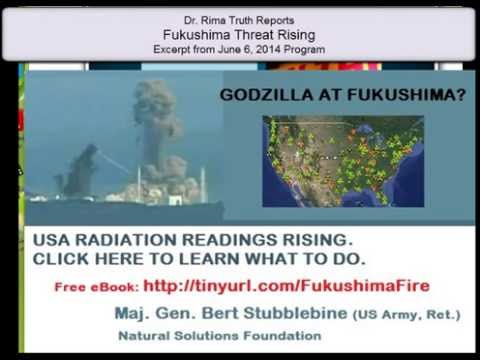 Godzilla at Fukushima: The Catastrophe Continues