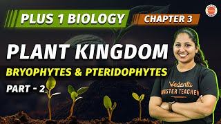 Plant Kingdom | Bryophytes And Pteridophytes | Chapter 3 | Plus One Biology | Vedantu Malayalam