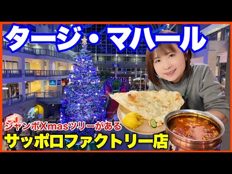 【タージ・マハール】ジャンボXmasツリー登場　サッポロファクトリー店／ボリュームありすぎ本格派インド料理の店