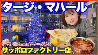 【タージ・マハール】ジャンボXmasツリー登場　サッポロファクトリー店／ボリュームありすぎ本格派インド料理の店