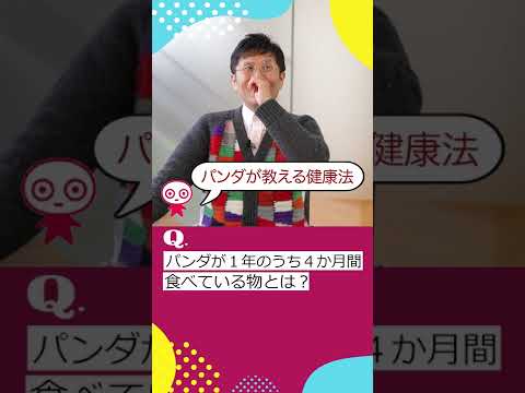 【世界の論文】パンダ体形維持のヒミツ！　#shorts