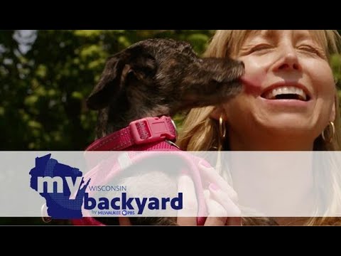 My Wisconsin Backyard | Program | Kids and Dogs