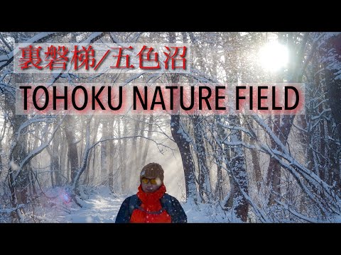 【旅】冬の裏磐梯　雪景色の五色沼を撮影しながらトレッキング！