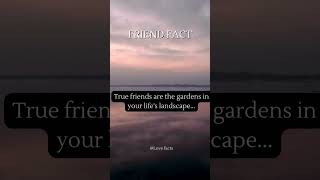 FRIENDSHIP Chronicles: Quotes for Lifelong Companions #shorts