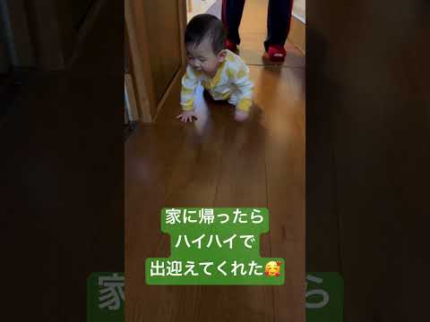 家に帰って出迎えてくれたと思ったら••• #shorts #shortvideo #赤ちゃん #baby #かわいい #おもしろ #funny