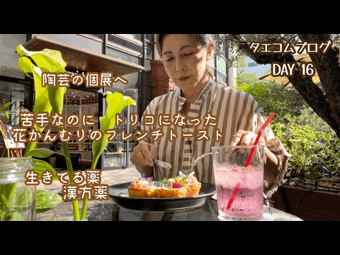 50代主婦vlog／赤坂へ陶芸個展／素敵なフレンチトースト／漢方薬局に行く