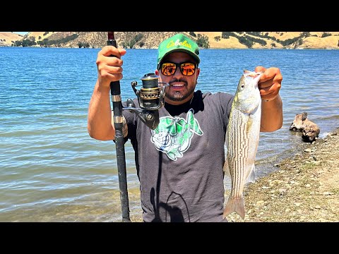 Fishing Lake Del Valle/Non Stop Action! #california #fishing #bankfishing #fish #delvalle #bayarea