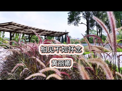 相见不如怀念~黄丽卿 HD Audio【高清音质】