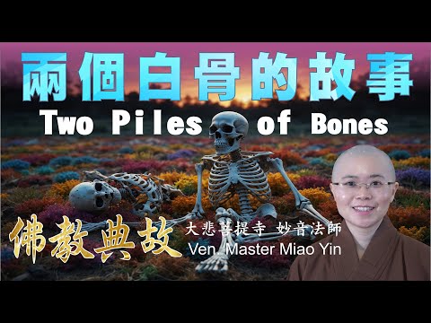 Buddhist Story: Two Piles of Bones| 佛教故事| 白骨背後是何因而造就了不同結果？前世今生果報大不同|大悲菩提寺|妙音法師開示Ven. Master Miao Yin