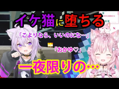 イケ猫おかゆに堕ちるコヨーテ、「一夜限りの…おかゆ呼び」【ホロライブ/切り抜き/博衣こより/猫又おかゆ/Minecraft】