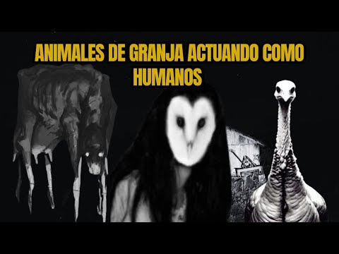 4 Historias Aterradoras de Animales de Granja Actuando Como Humanos