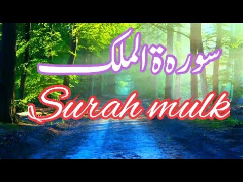 Surah mulk ( Tilawat) By Hafiz Abdur Raqeeb