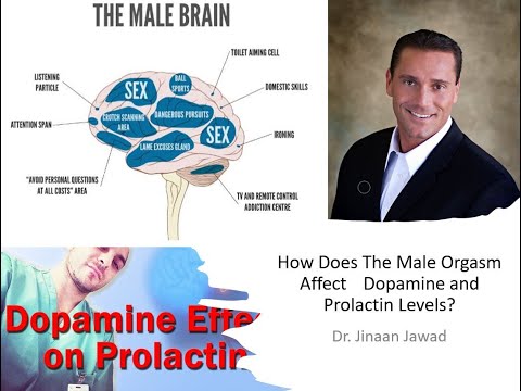 How Does The Male Orgasm Affect Dopamine and Prolactin Levels? (Part 3)