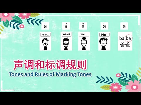 学中文 | 汉语拼音 | 声调和标调规则 | Learn Chinese | Pinyin | Tones and Rules of Marking Tones