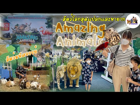 AMAZING ANIMALS สัตว์มหัศจรรย์ สัตว์โลกสุดแปลกและหายาก🐢🕊🪰🐇🐞🦂🐛🐝🕷🪲🦜🦩🦔