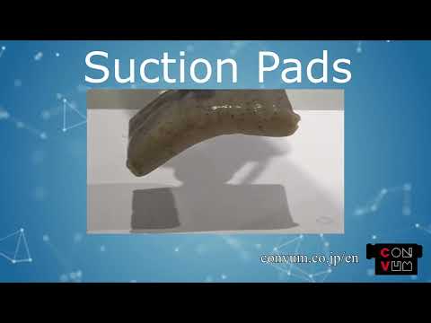 Convum Suction Cups and Pads