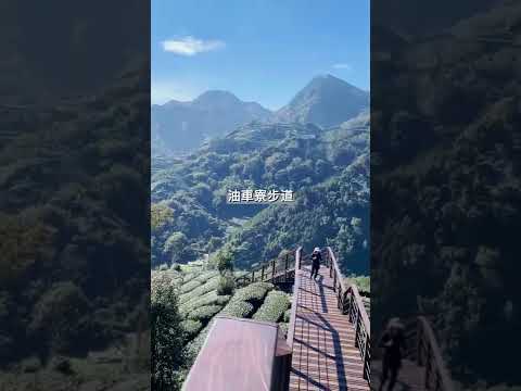 360度視野遼闊的茶園景觀😍  📍太和-大風埕觀日峰