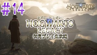 『Hogwarts Legacy』初見実況！#14【ゲーム妖怪ジーコ】