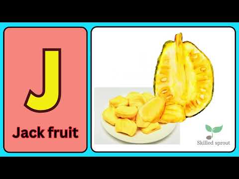 Learn The Letter J | Let's Learn About The Alphabet | Phonics Song for Kids | Skilled Sprout