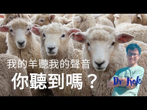 〔信仰靈修篇〕你辨認到、你聽到天主的聲音嗎？  l   如何在生活的煩擾中聽到？你辨認到、你聽到天主的聲音嗎？  l   如何在生活的煩擾中聽到？