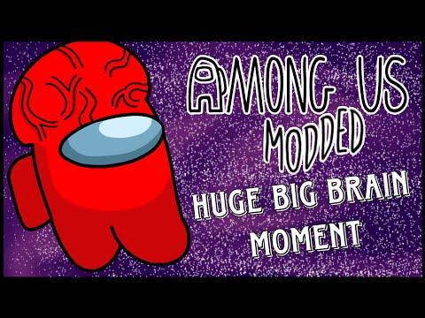 Among Us MODDED - Huge Big Brain Moment