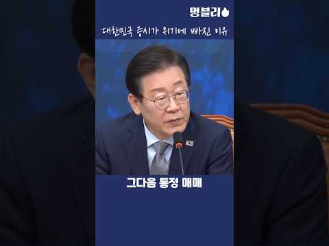 이재명👍 대한민국 증시가 위기에 빠진 이유😣 #이재명 #김건희특별법 #코리아디스카운트