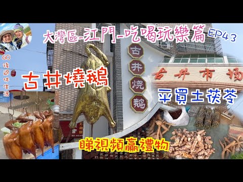 224.  大灣區-吃喝玩樂篇-江門（EP43) ，食新鮮出爐古井燒鵝｜ 惹味臘味煲仔飯｜ 睇視頻贏禮物｜買土茯苓牛大力可以有幾平？｜港車北上飲食攻略｜江門古井鎮