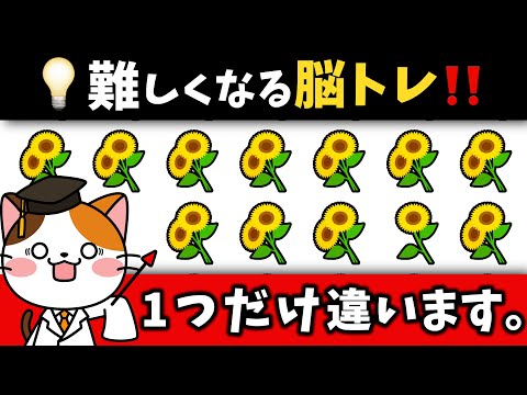 🌷脳トレ★最後に超難問のおまけ問題も！1つだけ違うのはどれ？【お花屋さん編】