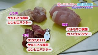 【O157など】食品が媒介する感染症「知ってなっ得！感染症の予防＃８その３」