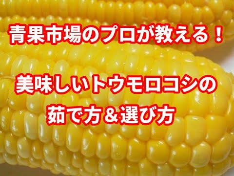 青果市場のプロが教える！美味しいトウモロコシの茹で方＆選び方