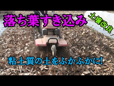 【土壌改良】粘土質をふかふかに