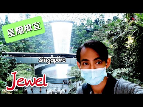 疫情下不能回国 可以到星耀樟宜机场走走 ( Jewel Changi Airport ) 2020