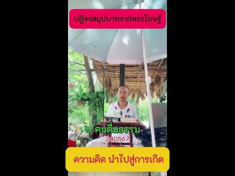 7 ความคิด(ภพ) นำไปสู่การเกิด(ชาติ) #ปฎิจจสมุปบาทจากพระโอษฐ์  #ข้อคิดคำสอน #คนตื่นธรรม