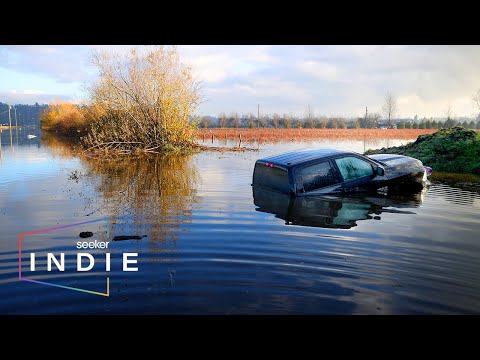 Short Film: How Clear Cutting Could Lead to Massive Floods