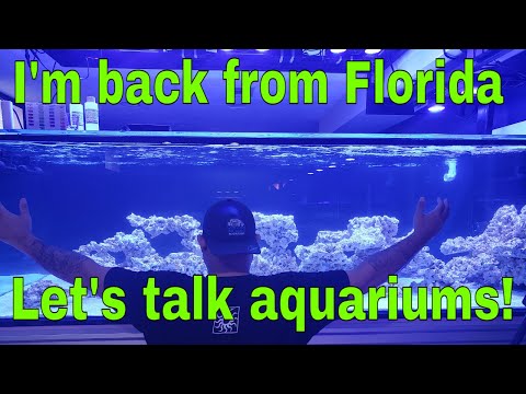 I'm back from Florida let's talk aquariums!